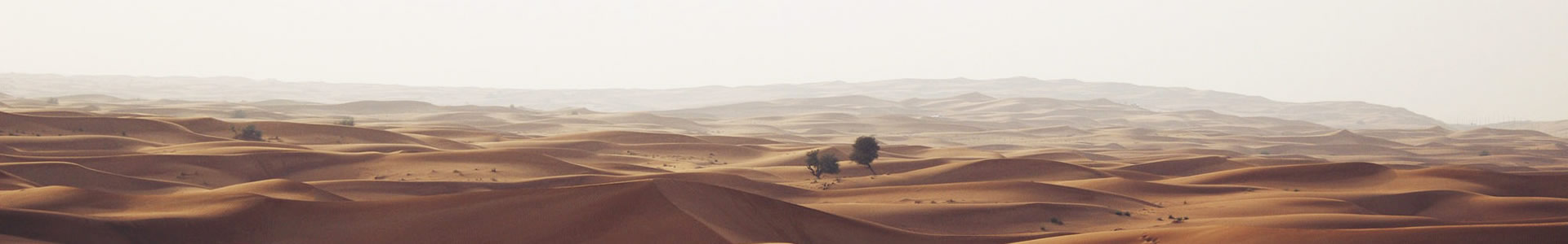ջƼ޹˾
